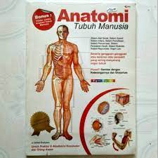 Sampul Anatomi tubuh manusia / Setiadi Budiyono