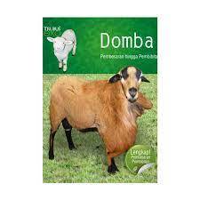 Sampul Domba jumbo :  Usaha pembibitan dan pembesaran / Redaksi trubus