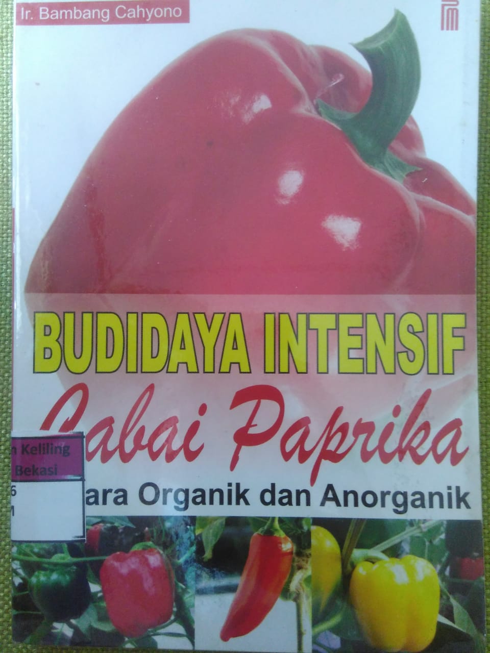 Sampul Budidaya intensif cabai paprika :  Secara organik dan anorganik / Bambang Cahyono
