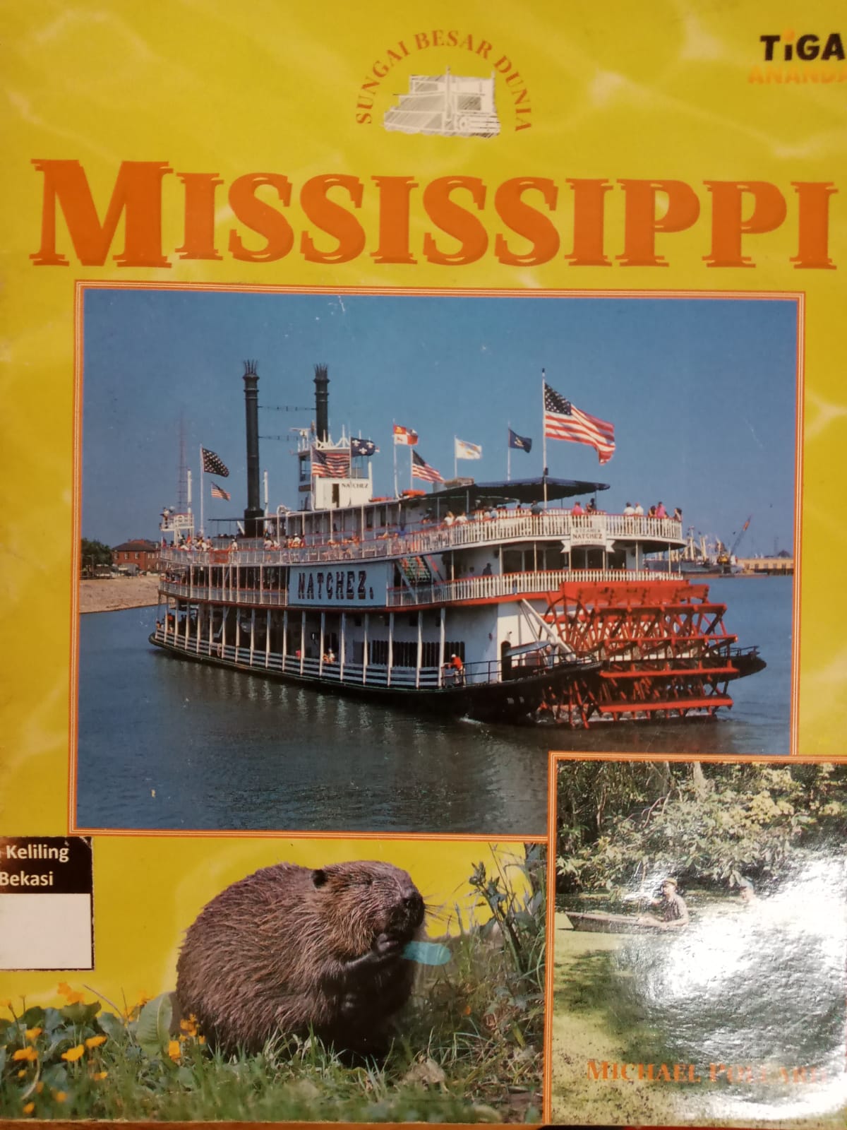 Sampul Sungai Besar Dunia, Mississippi / Michael Pollard