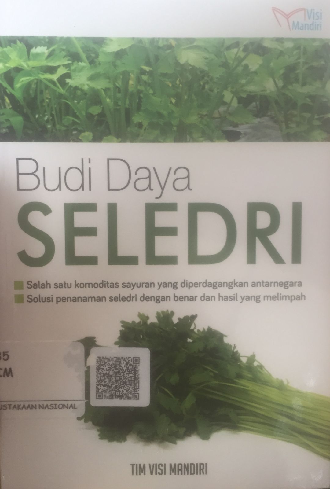 Sampul Budi daya seledri / Tim visi Mandiri