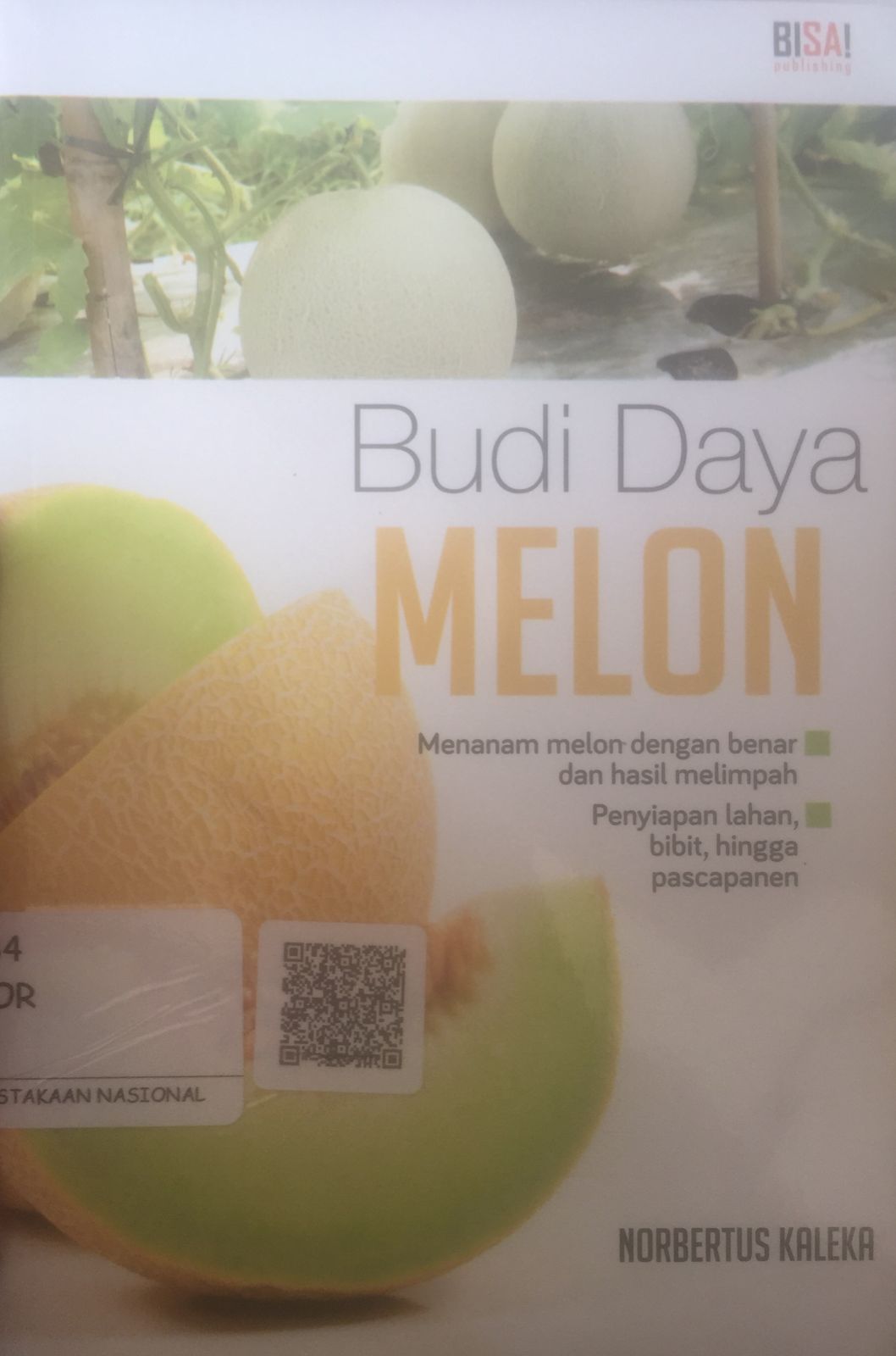 Sampul Budi daya melon / Norbertus Kaleka