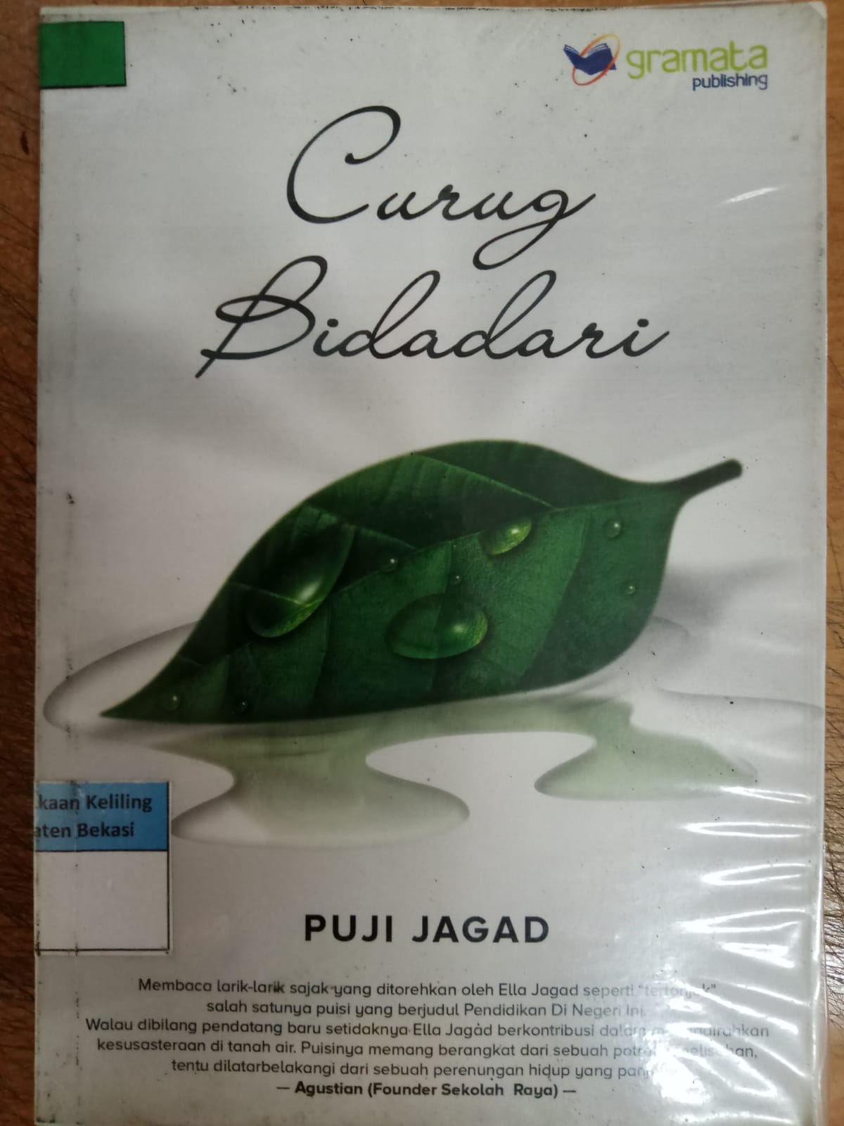 Cover Curug Bidadari / Puji Jagad