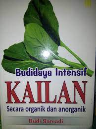 Sampul Budidaya intensif kailan secara organik dan anoarganik / Budi samadi
