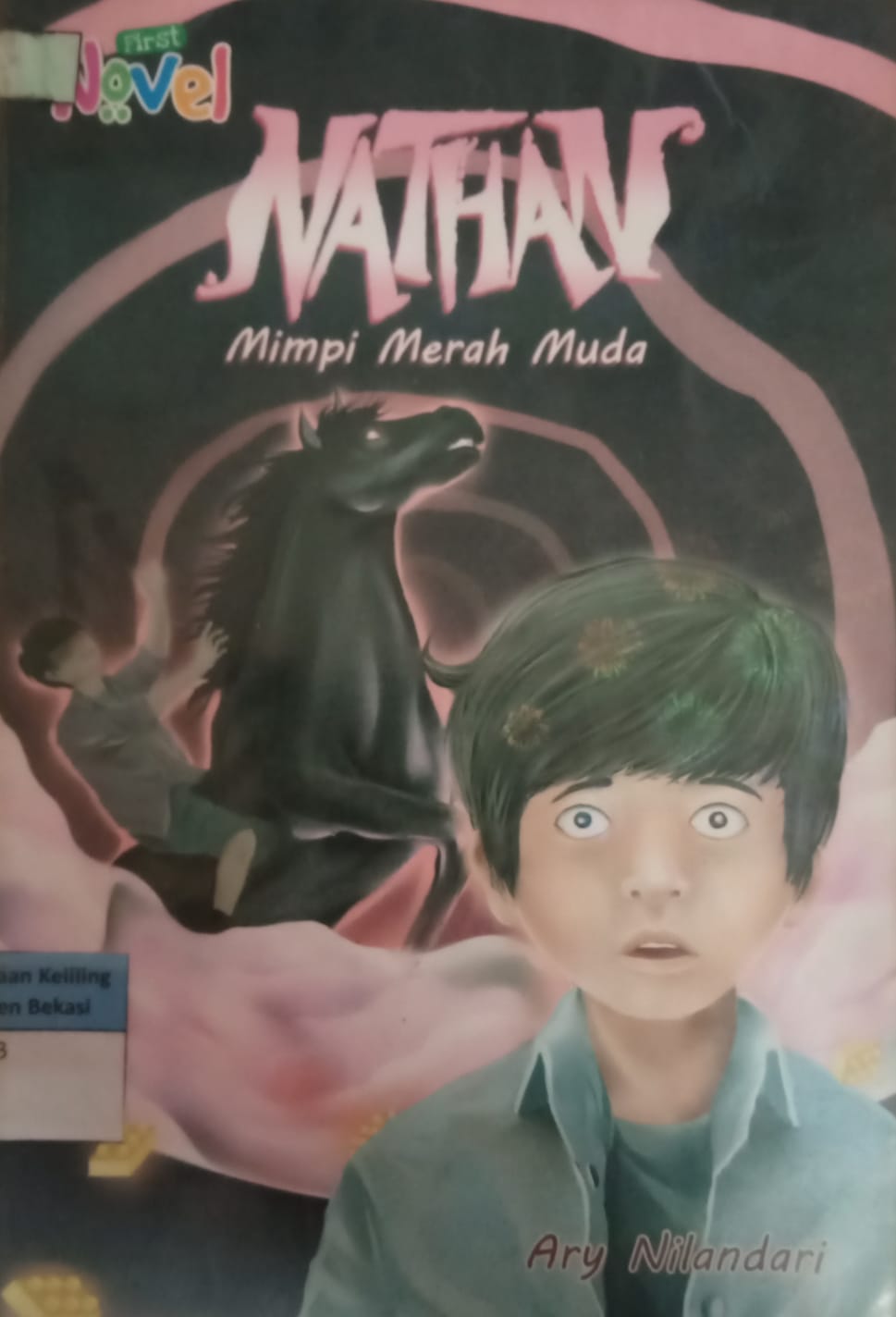 Sampul Nathan :  mimpi merah muda / Ary nilandari