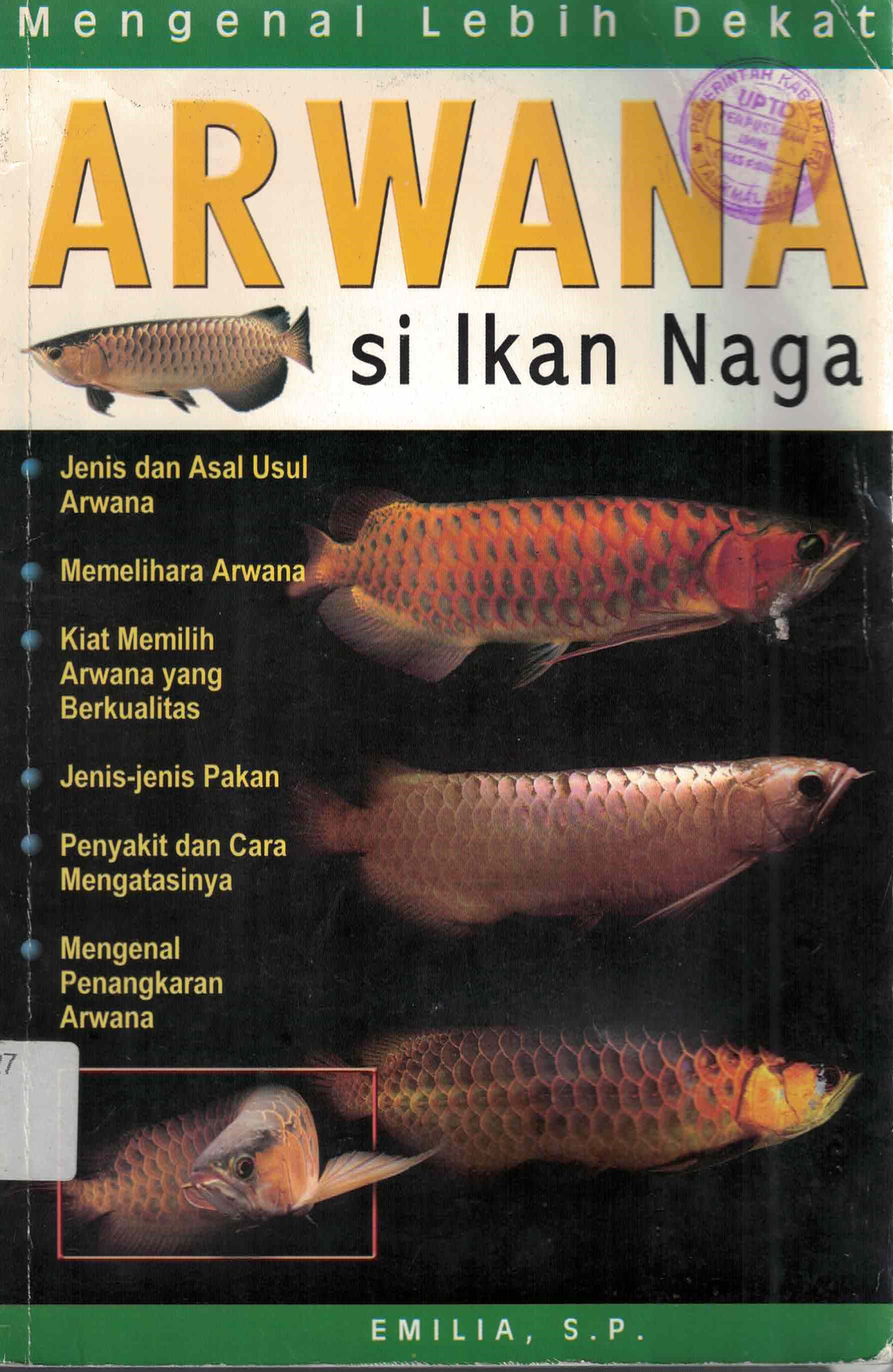 Sampul Arwana si ikan naga / Emilia