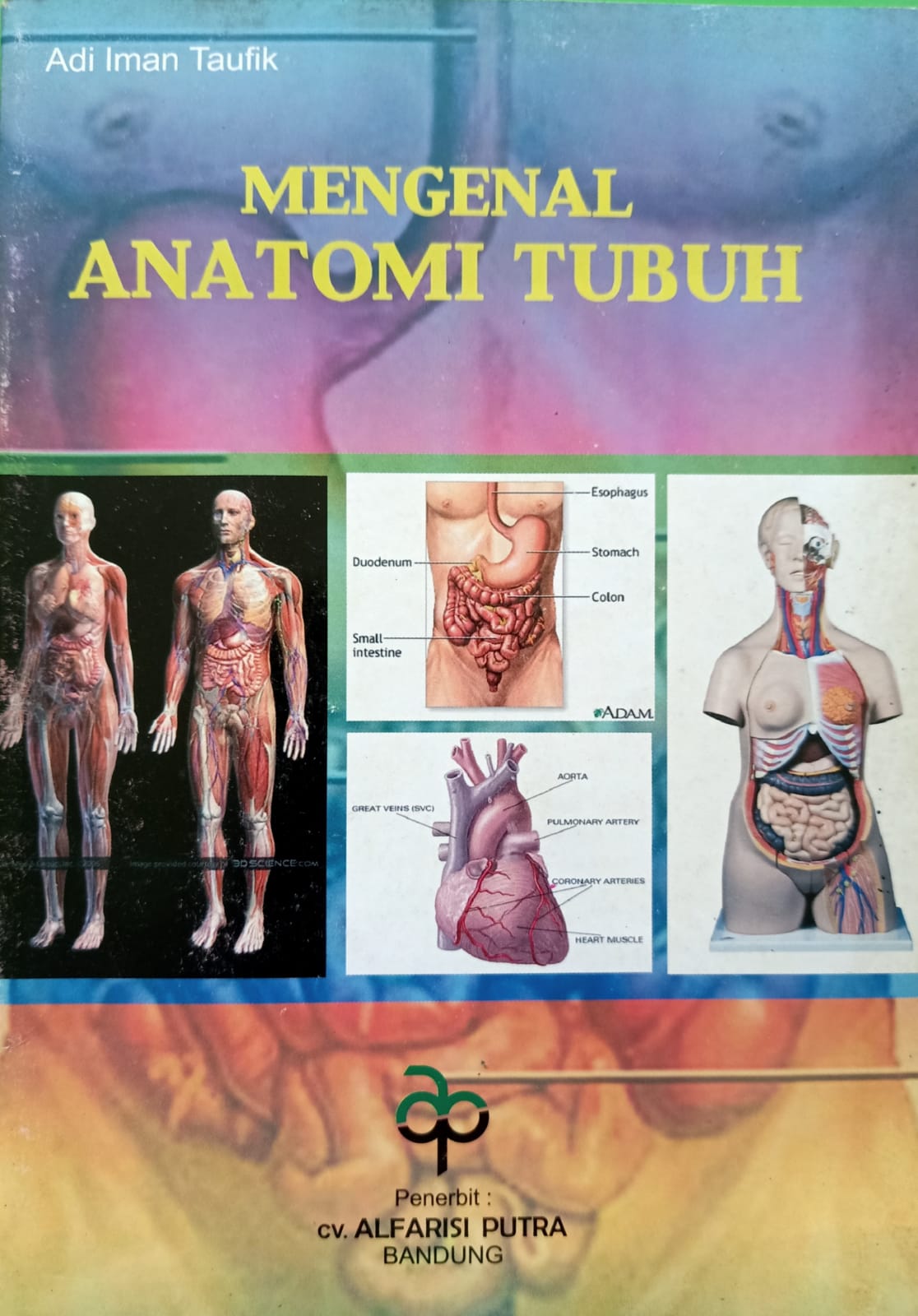 Sampul Mengenal anatomi Tubuh / Adil Iman Taufik