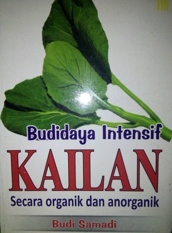 Sampul Budidaya intensif kailan :  secara organik dan anorganik / Budi Samadi
