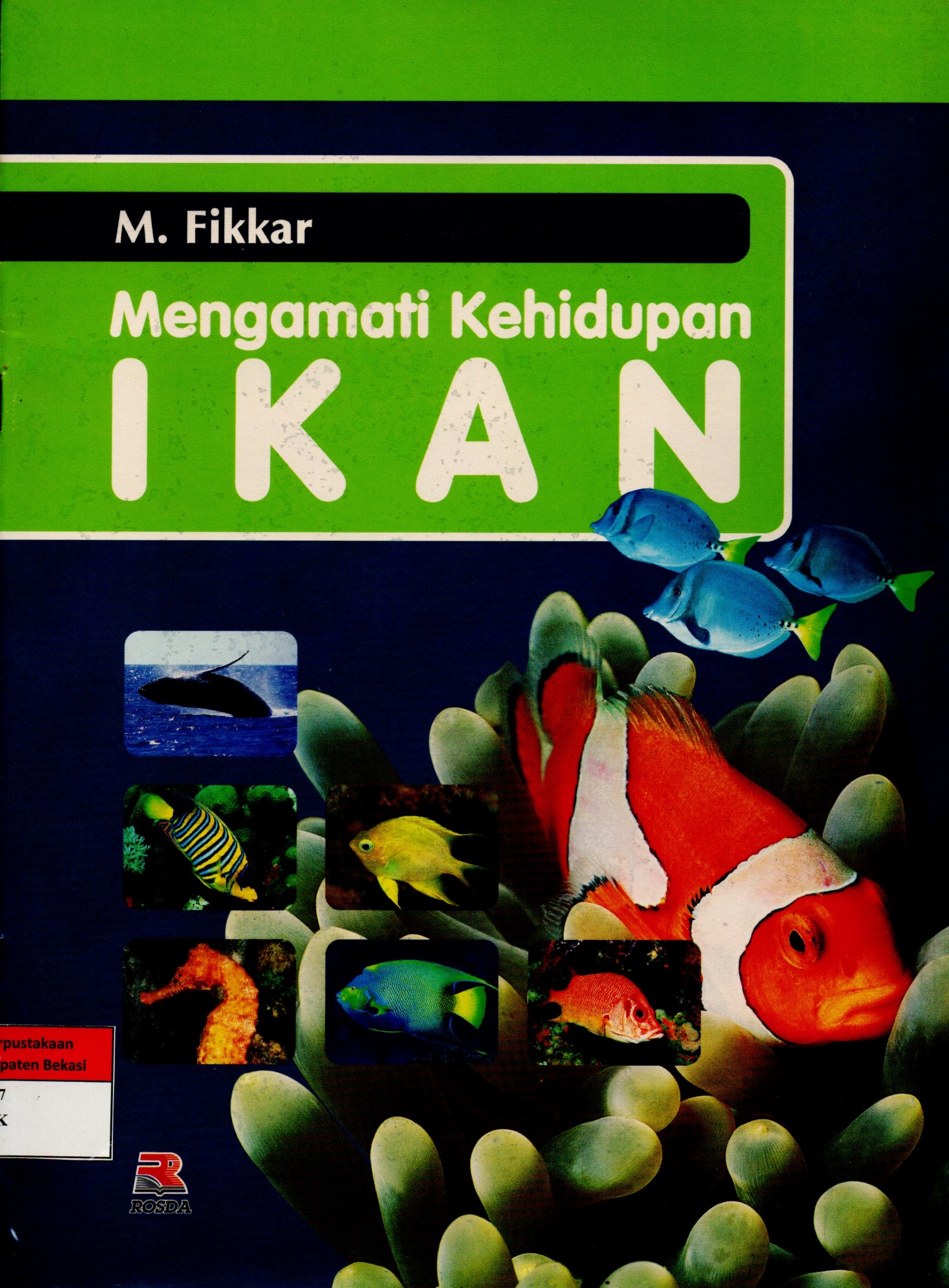 Sampul Mengamati Kehidupan Ikan / Fikkar M.; Iman Budiman