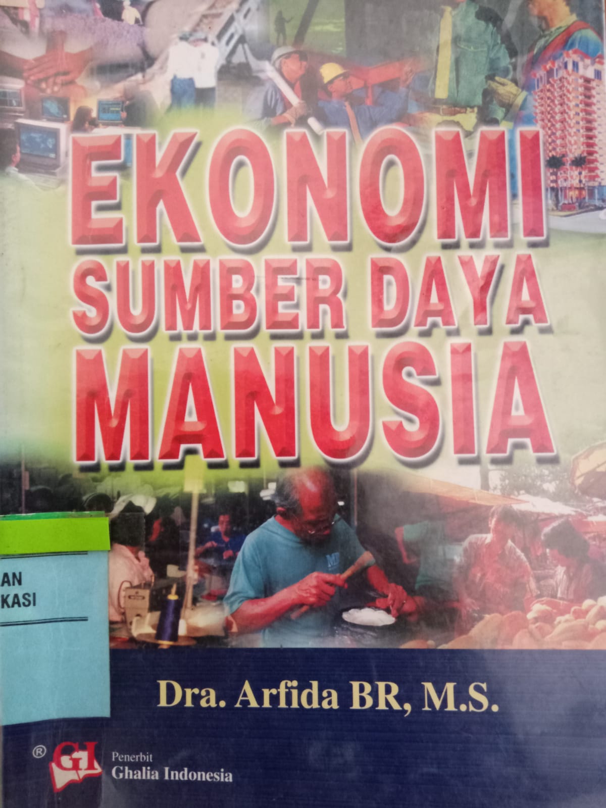 Sampul Ekonomi Sumber daya Manusia / Arfida BR