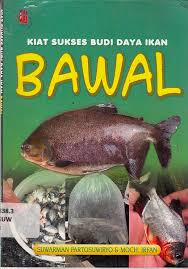 Sampul Kiat sukses budi daya ikan bawal / Suwarman partosuwiryo