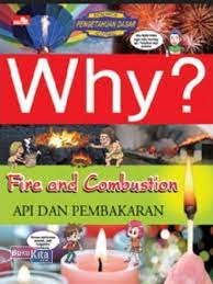 Sampul WHY? fire and combustion :  Api Dan Pembakaran / Endah Nawang Novianti