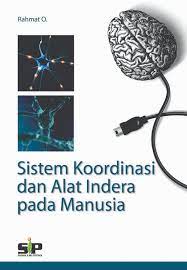 Sampul Sistem koordinasi dan alat indera pada manusia / Rahmat O; Edi Warsidi (editor)