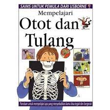 Sampul Sains Untuk Pemula :  Mempelajari Otot & Tulang / Rebecca Treays