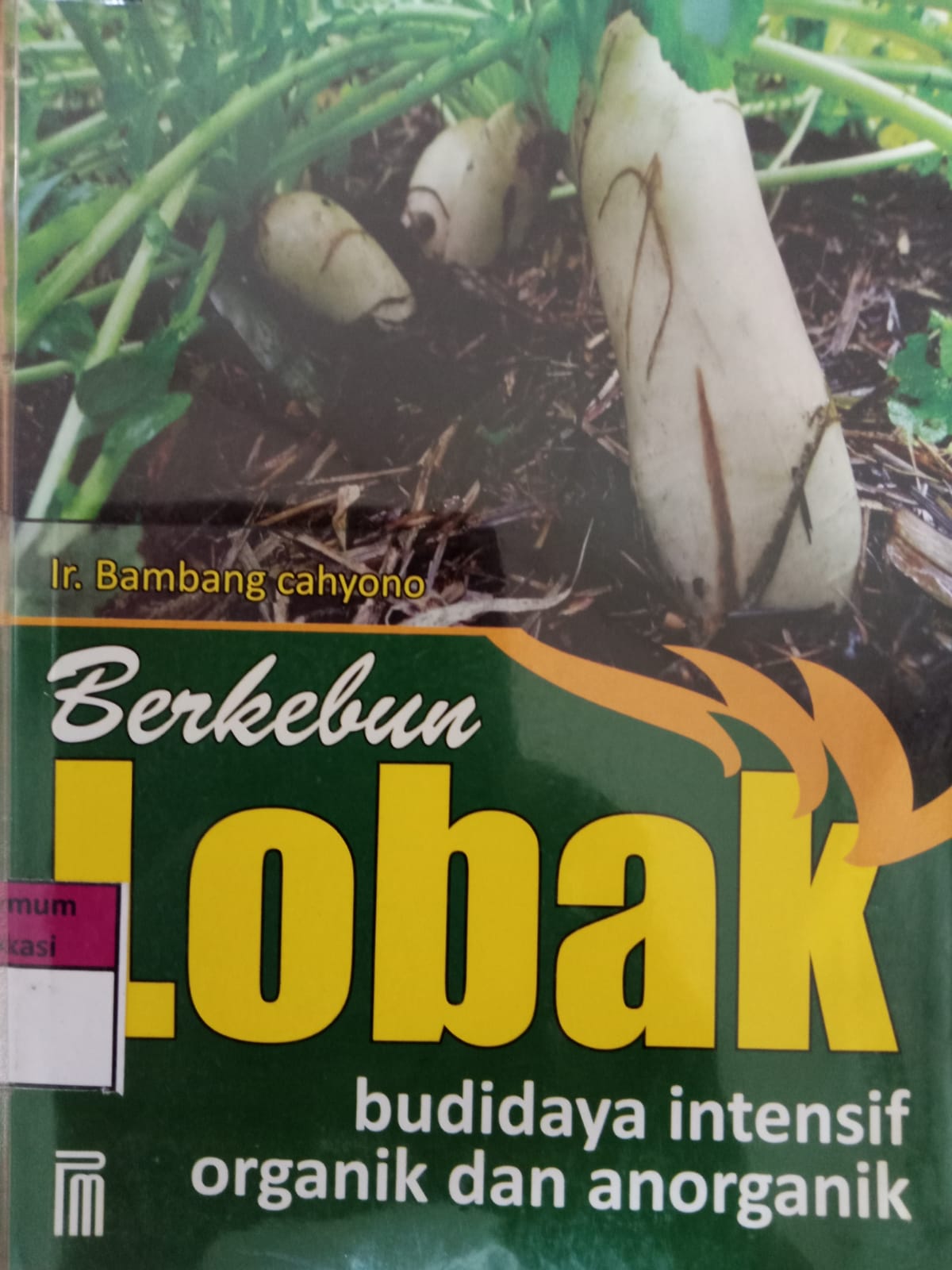 Sampul Berkebun Lobak :  Budidaya intensif organik dan anorganik / Bambang cahyono