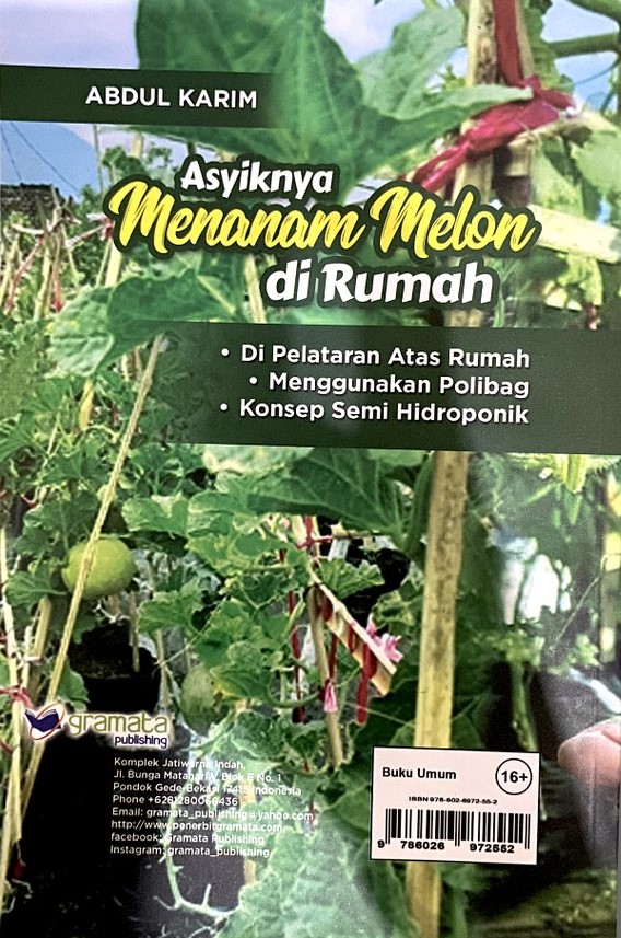 Sampul Asyiknya Menanam Melon di Rumah :  Di Pelataran Atas Rumah, Menggunakan Polibag, Konsep Semi Hidroponik / Abdul Karim