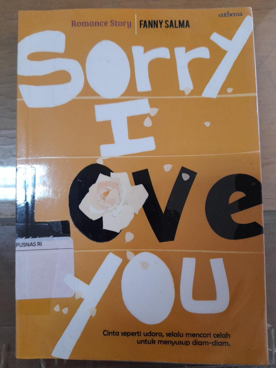 Sampul Sorry I Love You / Fanny Salma