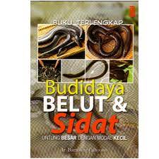 Sampul Budidaya Belut & Sidat / Bambang Cahyono