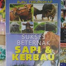 Sampul Sukses Berternak Sapi & kerbau / Bambang Cahyono