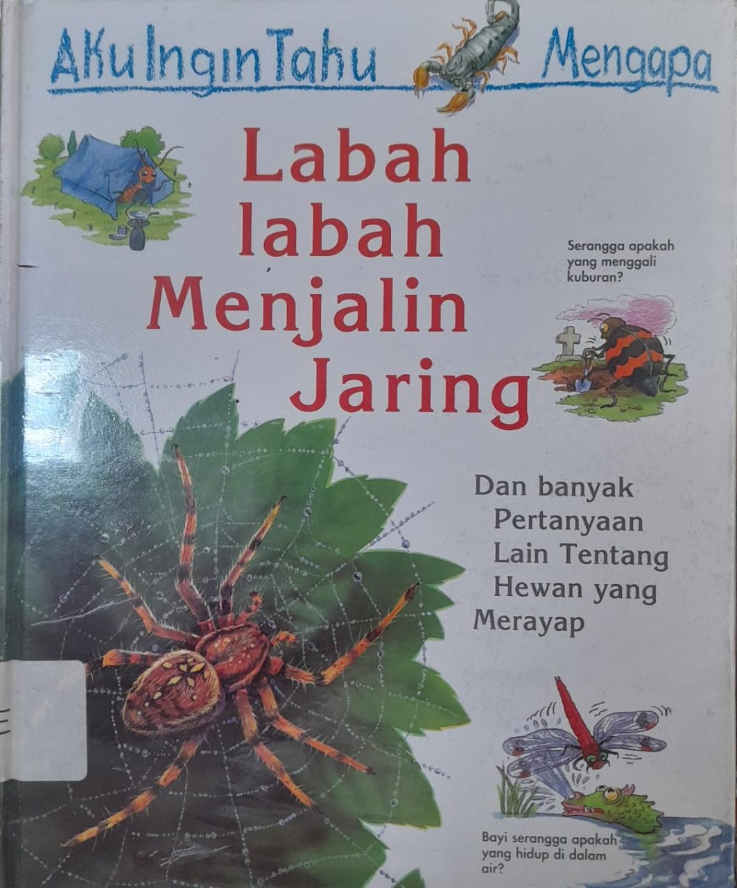 Sampul Aku Ingin Tahu Mengapa Labah - Labah Menjalin Jaring / Amanda O'Neill
