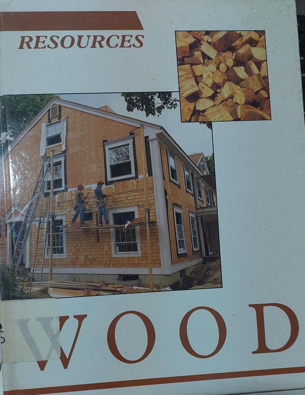 Cover Wood / Sue Dyson