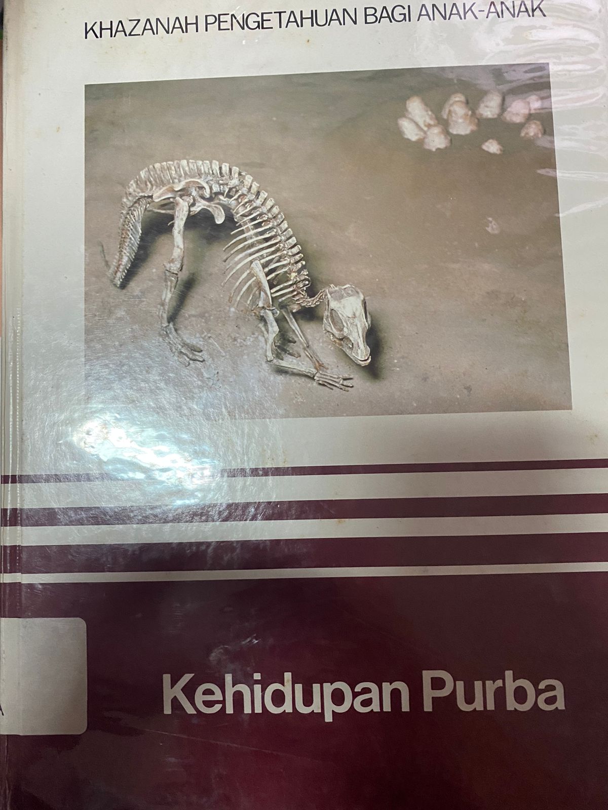 Sampul khazanah pengetahuan bagi anak-anak; kehidupan purba / Sumadia