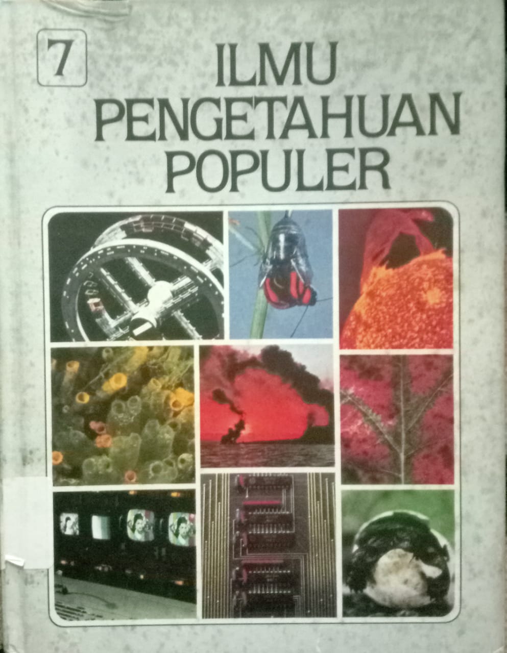 Sampul Ilmu Pengetahuan Populer Jilid 7 :  Kehidupan Hewan Mamalia
