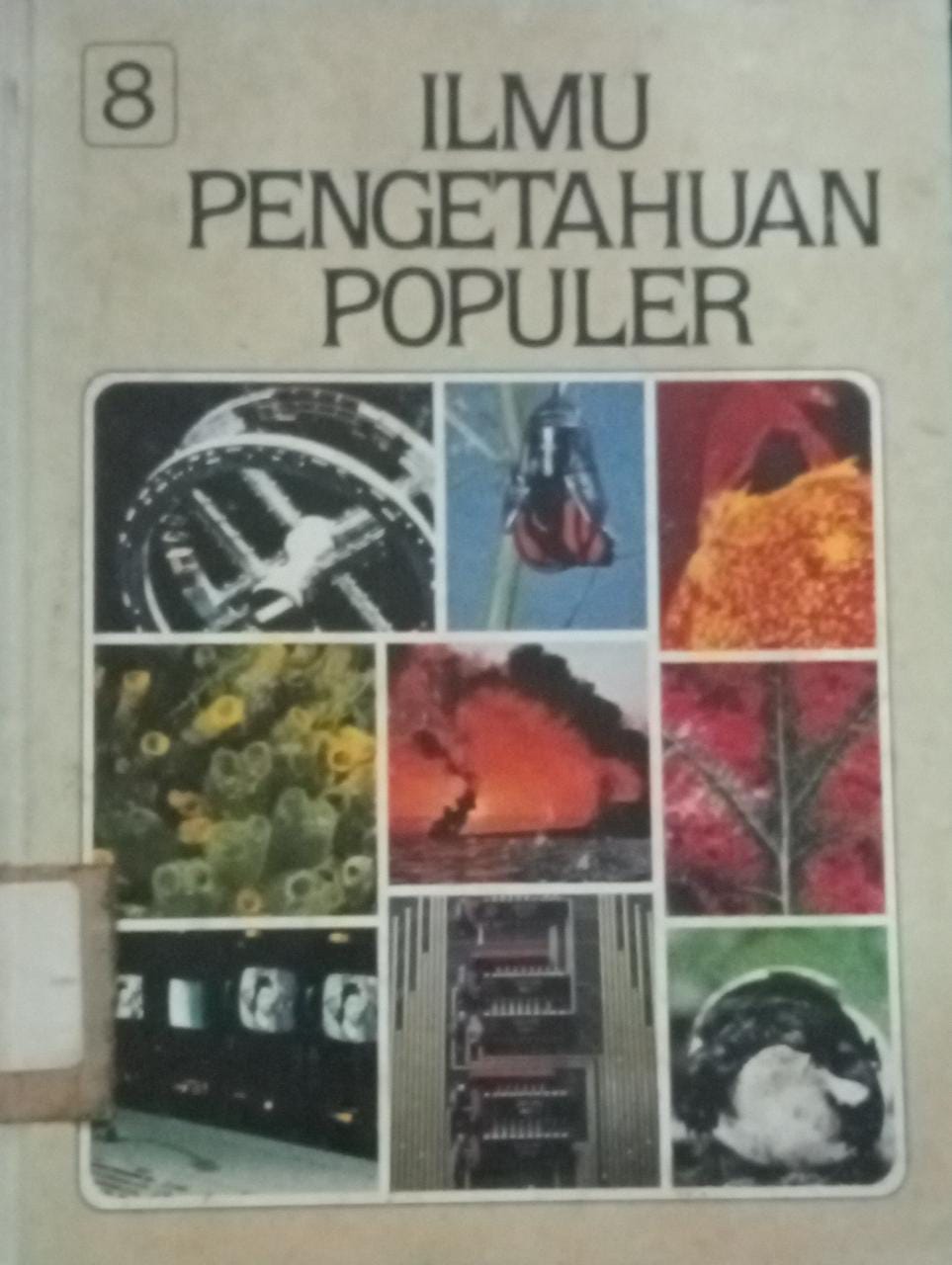 Sampul Ilmu Pengetahuan Populer Jilid 8 :  Mamalia Ilmu Pengetahuan Manusia