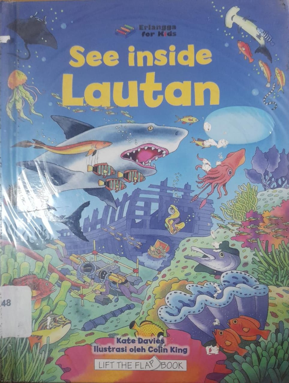 Sampul See Inside Lautan / Kate Davies