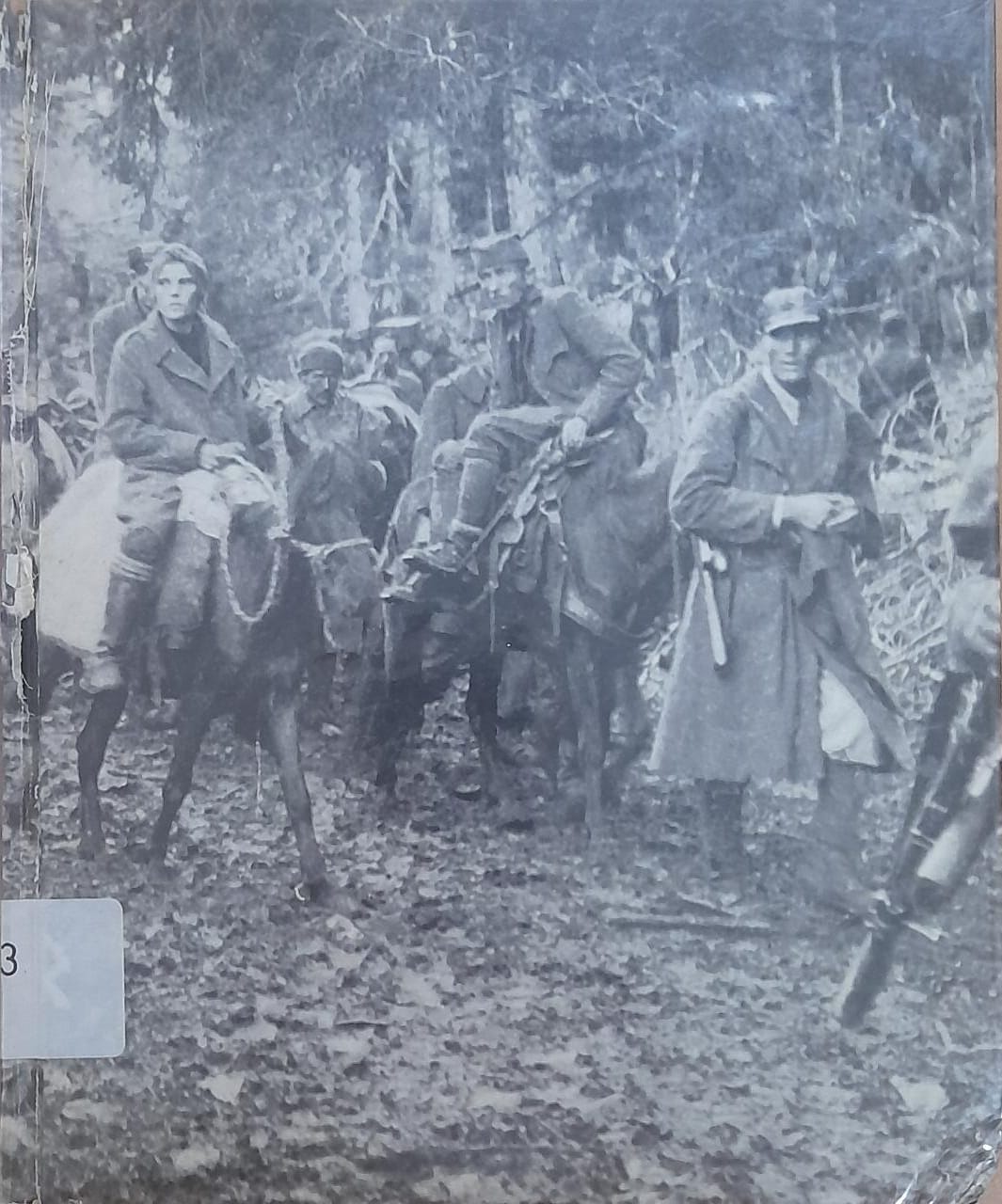Sampul Partisan dan Gerilyawan / Ronald H. Bailey