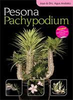 Sampul Pesona pachypodium / Joyo, Agus Andoko ; penyunting, Astuti