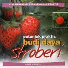 Sampul Petunjuk praktis budi daya stroberi / Agus kurnia