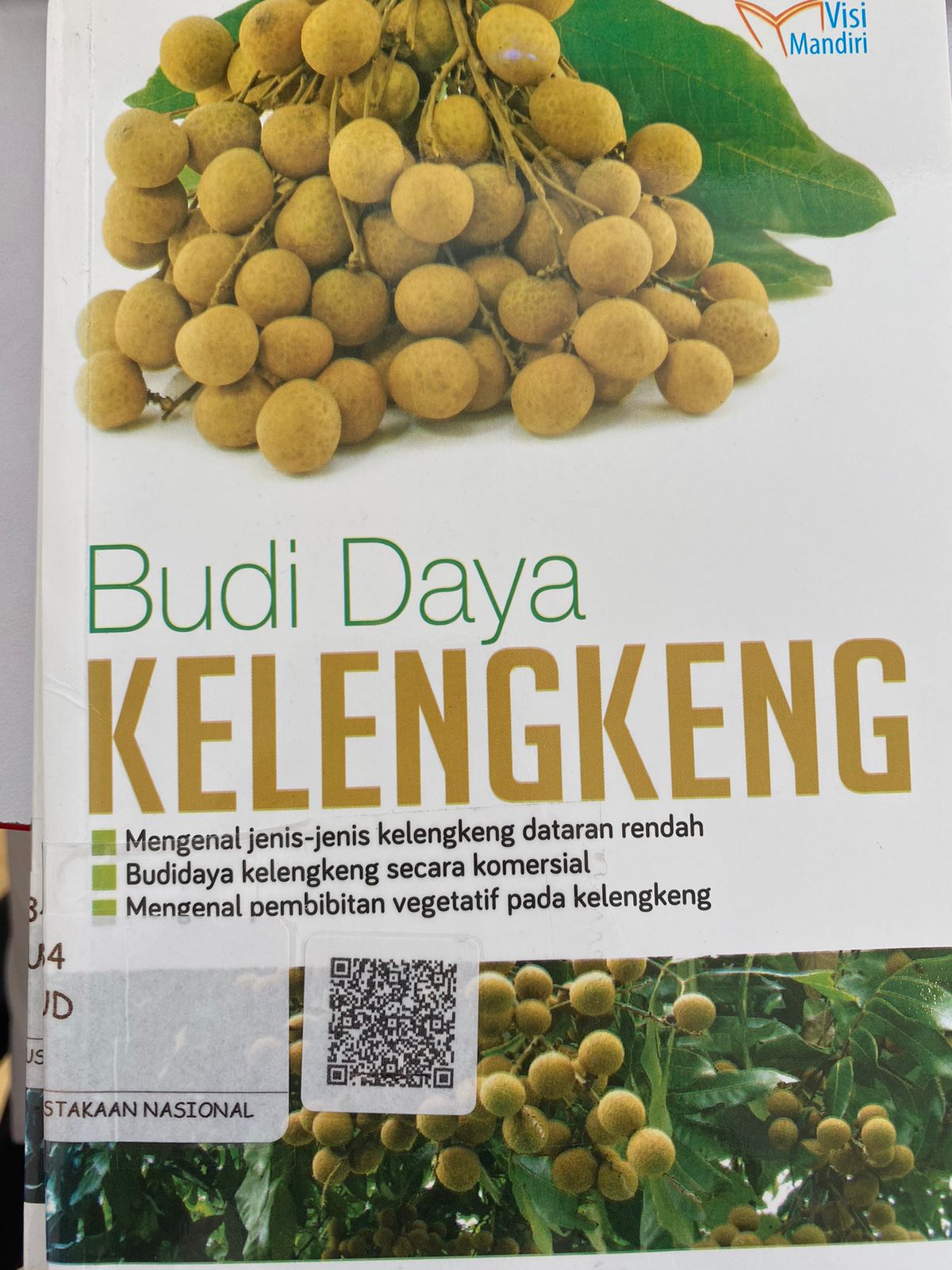 Sampul Budi daya kelengkeng / Tim Agro Mandiri