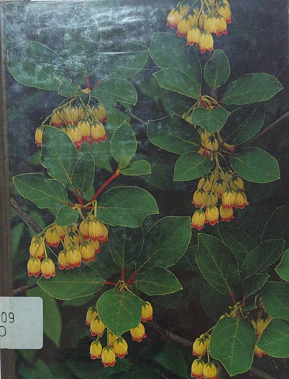 Sampul Flowering Shrubs / James Underwood Crockett
