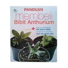 Cover Panduan membeli bibit anthurium / Bramantya Putra / Bramantya Putra