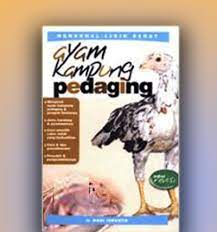 Cover Ayam kampung pedaging / Hadi iswanto