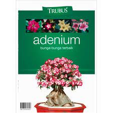 Cover Adenium :  bunga-bunga terbaik / Redaksi terubus