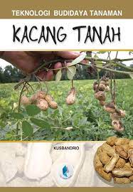 Sampul Teknologi budidaya tanaman kacang tanah / Kusbandrio