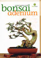 Sampul Bonsai Adenium / Abdul hakim Lutfi