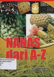 Sampul Nanas dari A-Z / Nasin El Kabumaini