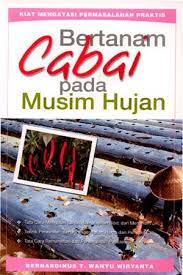 Sampul Bertanam cabai pada musim hujan / Bernardius T. Wahyu Wirayanta
