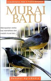 Sampul Murai Batu