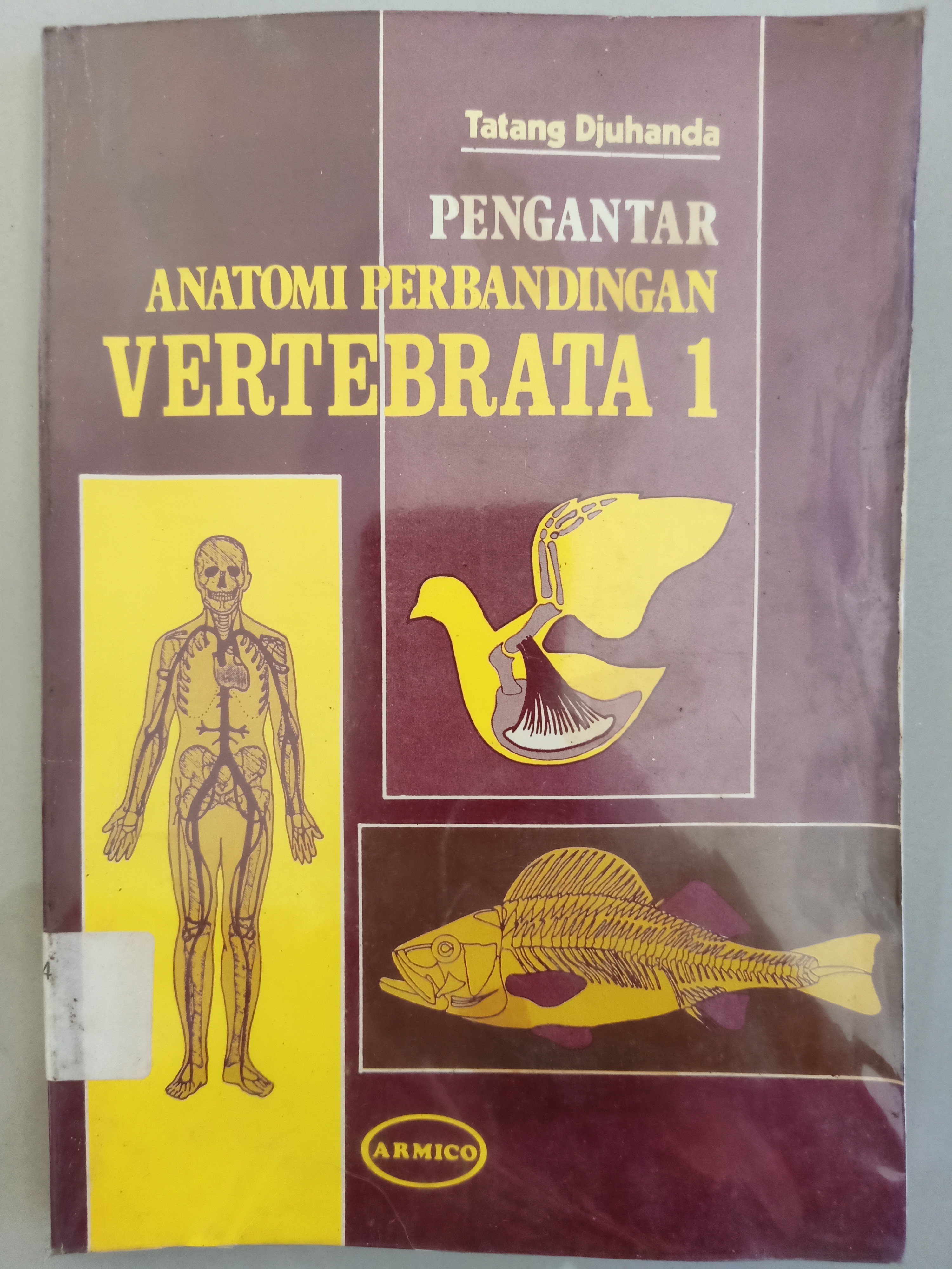 Cover Pengantar anatomi perbandingan vertebrata 1 / Tatang djuhanda