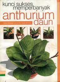 Sampul kunci sukses memperbanyak anthurium daun / Didik Setiawan Lie, Agus Andoko; penyunting, Bagus Harianto