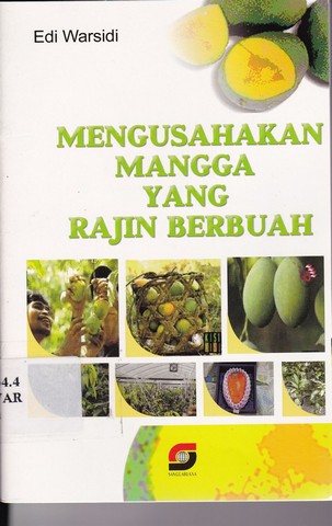 Cover Mengusahakan mangga yang rajin berbuah / Edi warsidi