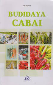 Cover Budidaya Cabai / Edi Warsidi