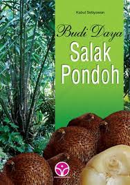 Sampul Budi daya Salak Pondoh / Kabul Setiyawan