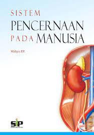Cover Sistem Pencernaan Pada Manusia / Wahyu P.P.