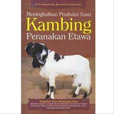 Sampul Meningkatkan Produkasi Susu Kambing Peranakan Etawa / Akhmad Sodiq
