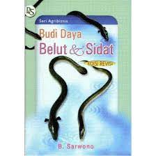 Sampul Budidaya belut dan sidat / B. Sarwono